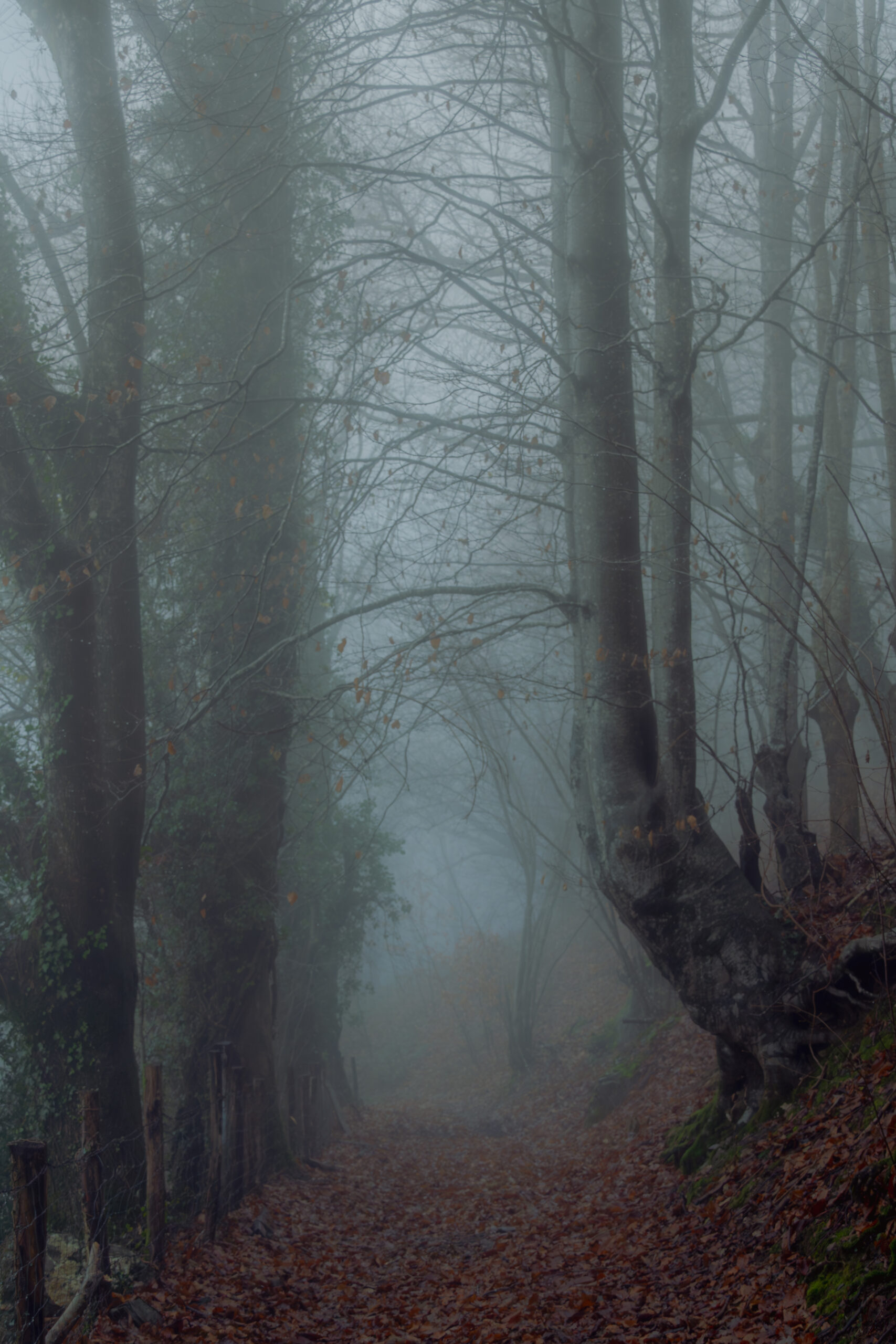 Mist rolling over the hills surrounding Etxalar in the Basque Country, Spain.