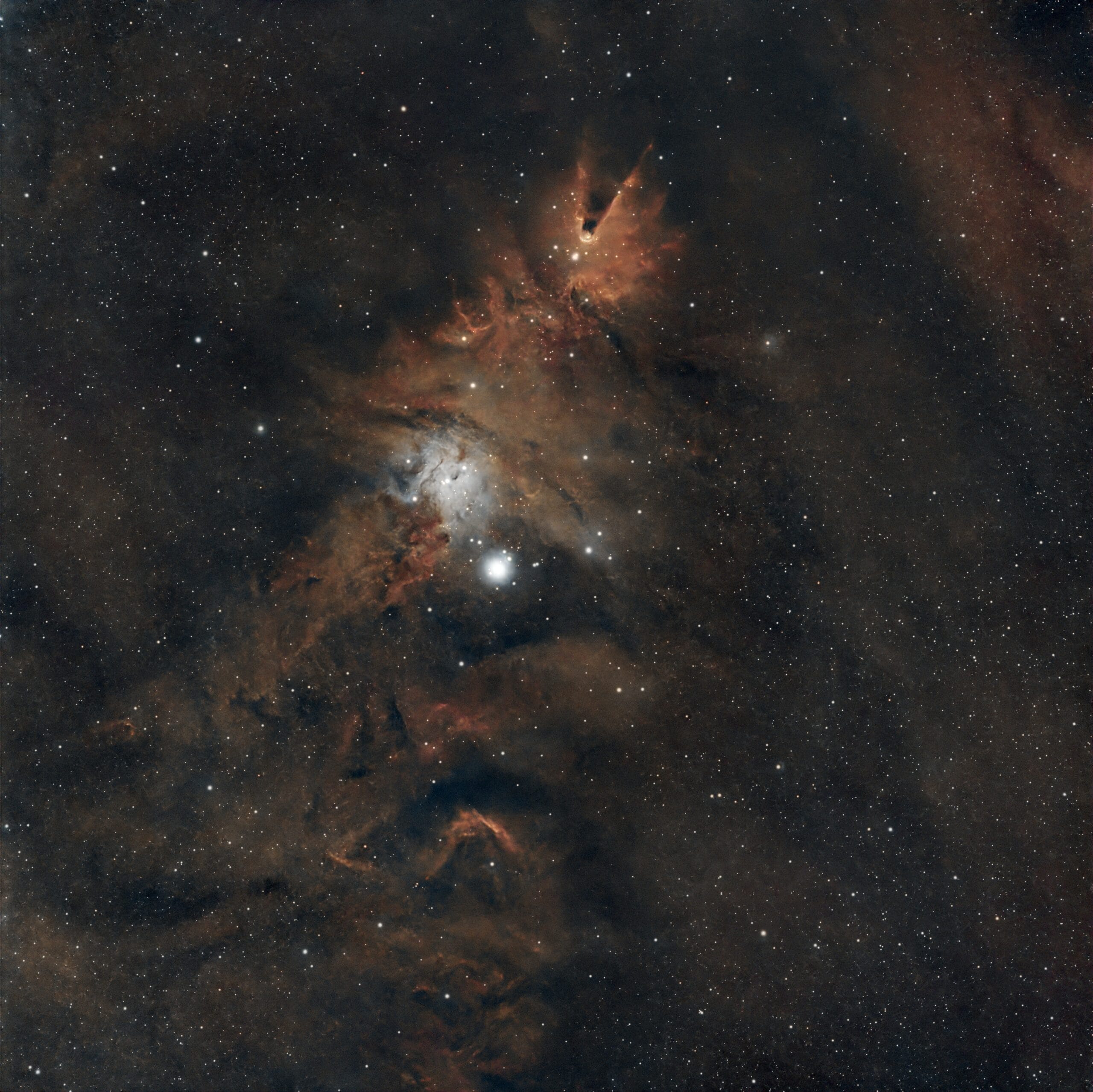Christmas Tree Cluster and Cone Nebula (NGC 2264) captured from Tel Aviv, Israel, under Bortle 9 skies using a dual-band filter.