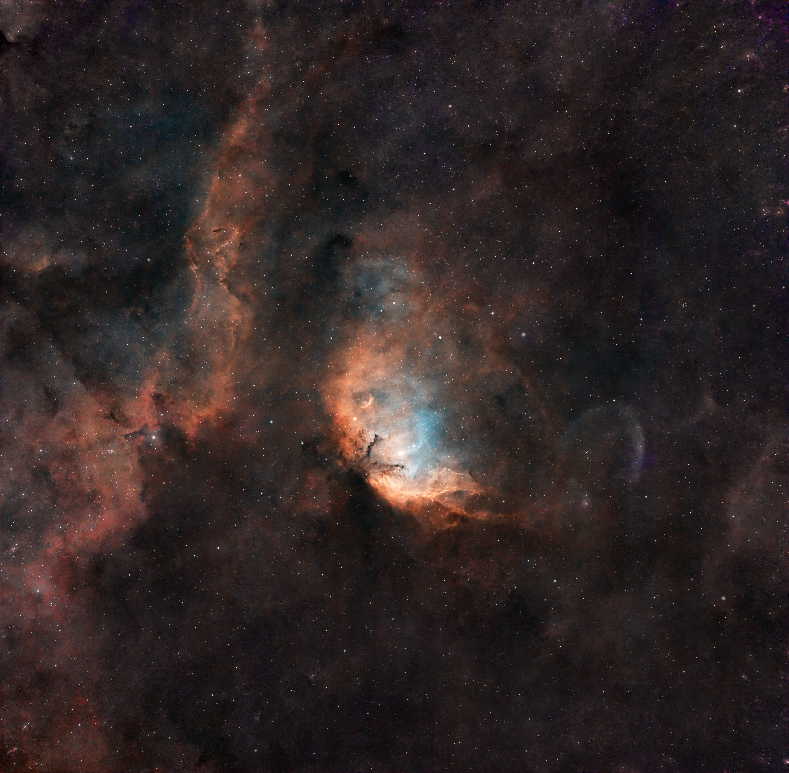 Tulip Nebula (Sh2-101) captured in the SHO palette in the Cygnus constellation, near the famous black hole Cygnus X-1.