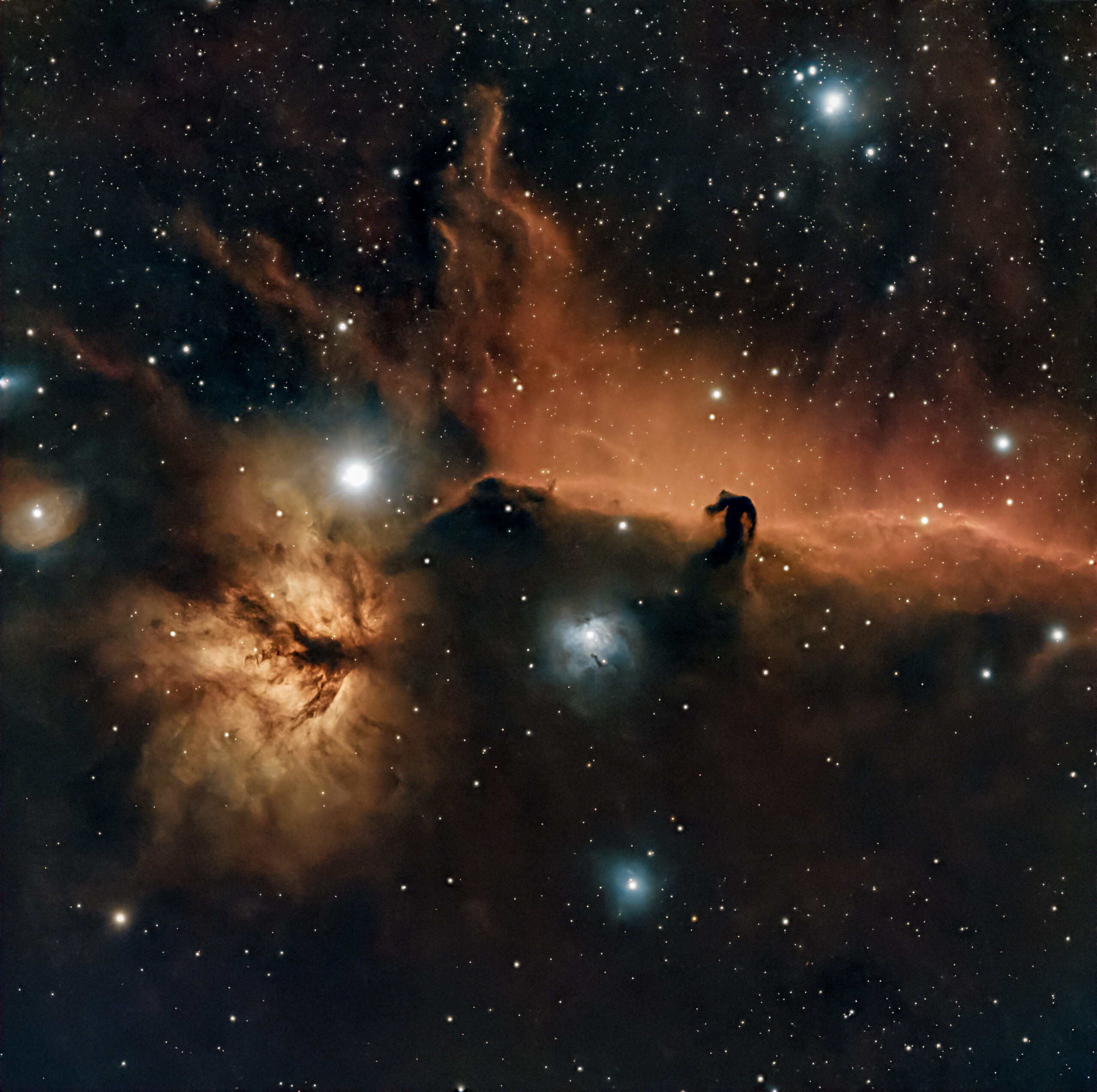 The Horsehead and Flame Nebulae in Orion, illuminated by the bright star Alnitak.